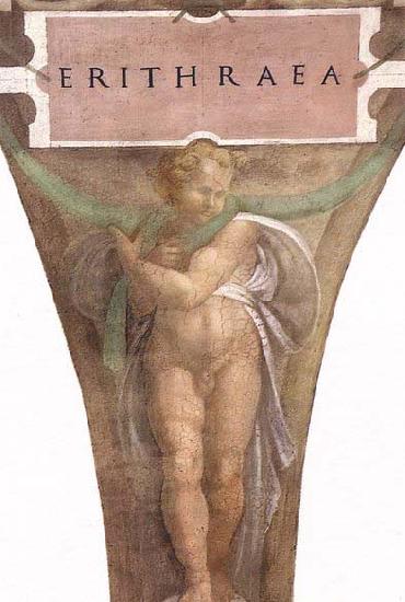 Michelangelo Buonarroti The Erythraean Sibyl oil painting image